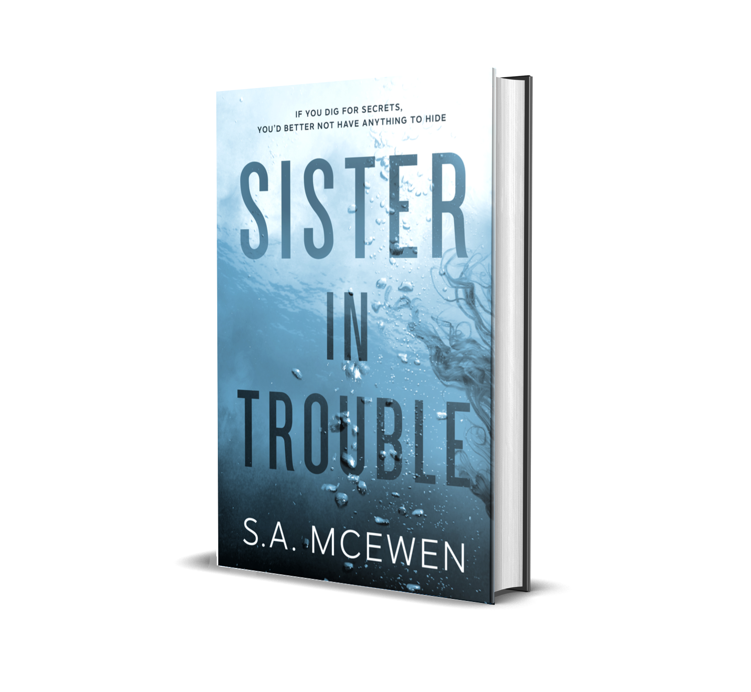 Sister in Trouble (PAPERBACK) – S.A. McEwen Author