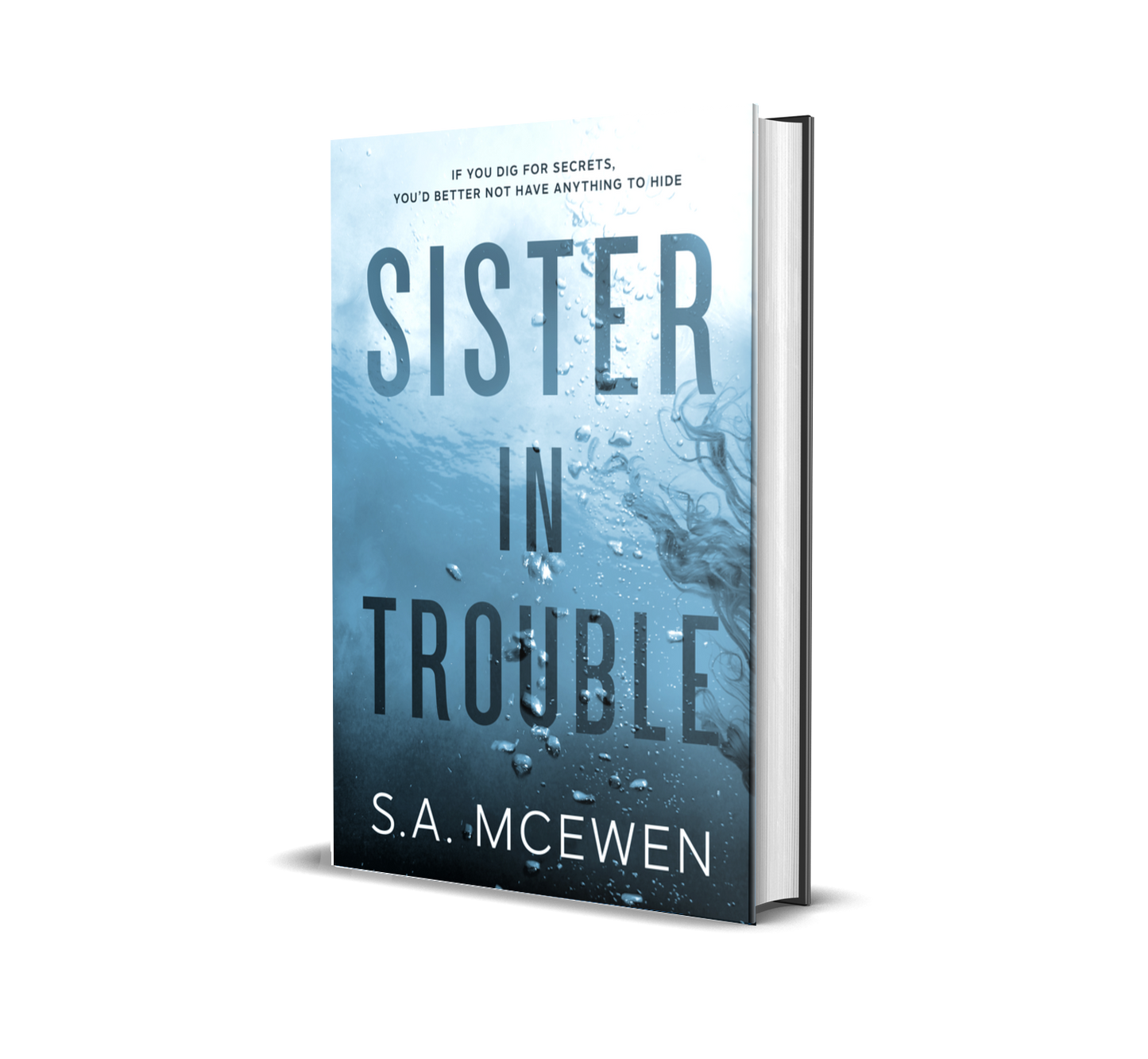 Sister in Trouble (PAPERBACK)